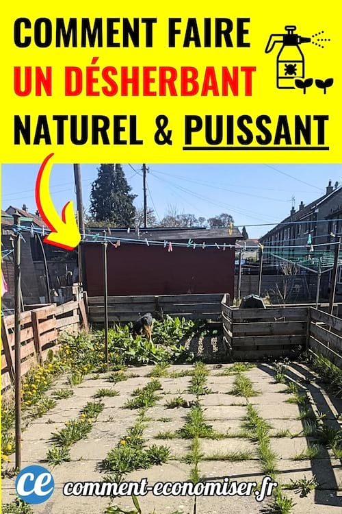 Un sol avec plein de mauvaises herbes dans un jardin