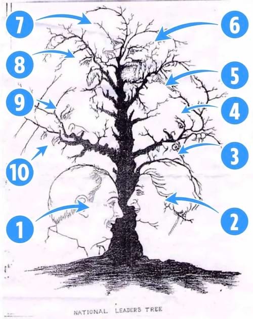 La solution au défi visuel des 10 visages cachés dans un arbre