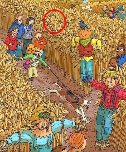 solution au défi visuel du poisson caché dans une image