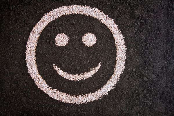 Un visage souriant est dessiné avec des graines claires sur un sol noir, représentant la positivité et la simplicité.