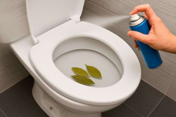 Spray pulvérisé sur des feuilles de laurier dans les toilettes.