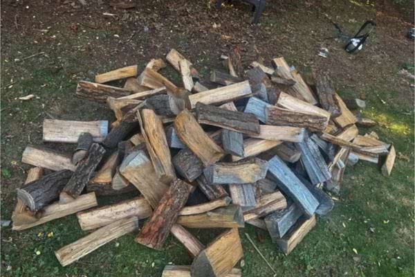 Grand tas de bûches fendues disposé sur l’herbe d’un jardin.