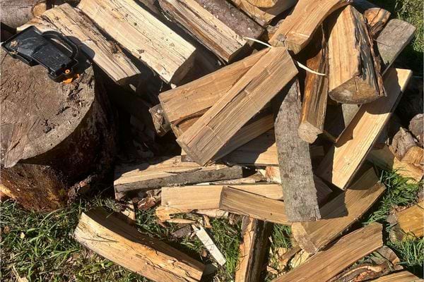 Tas de bûches fendues au soleil près d’une souche et d’une scie.