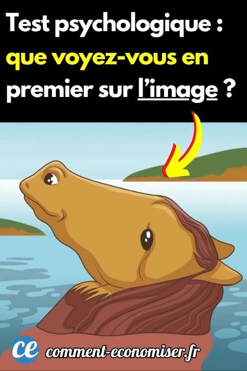 Une forme étrange qui peut être perçue comme un cheval ou comme une grenouille