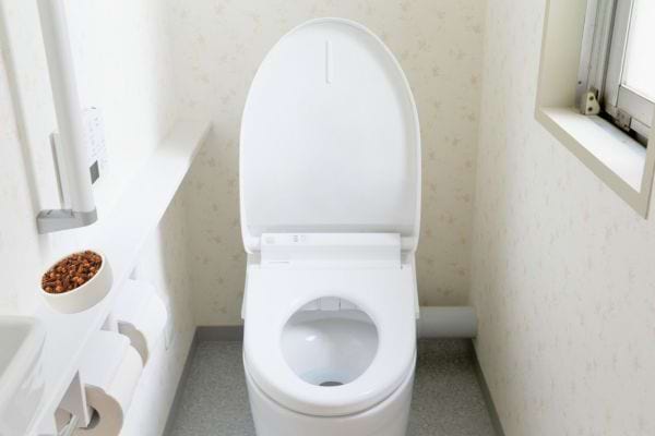 Des toilettes blanches impeccables sont placées dans une petite salle de bain claire.