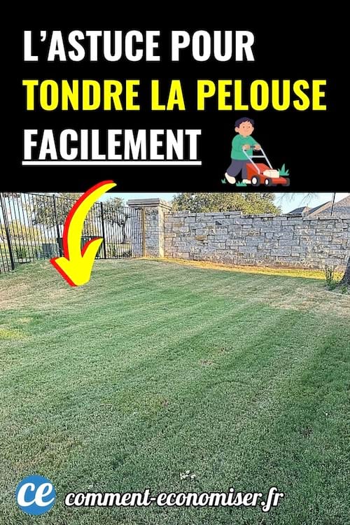 Pelouse fraîchement tondue dans un jardin entouré d’un muret en pierre.