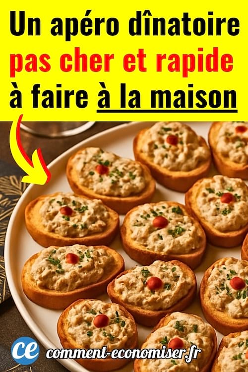 Des tartines avec du thon dessus et de la ciboulette