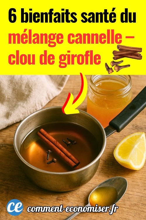 Des bâtons de cannelle et de des clous de girofle en infusion dans une petite casserole