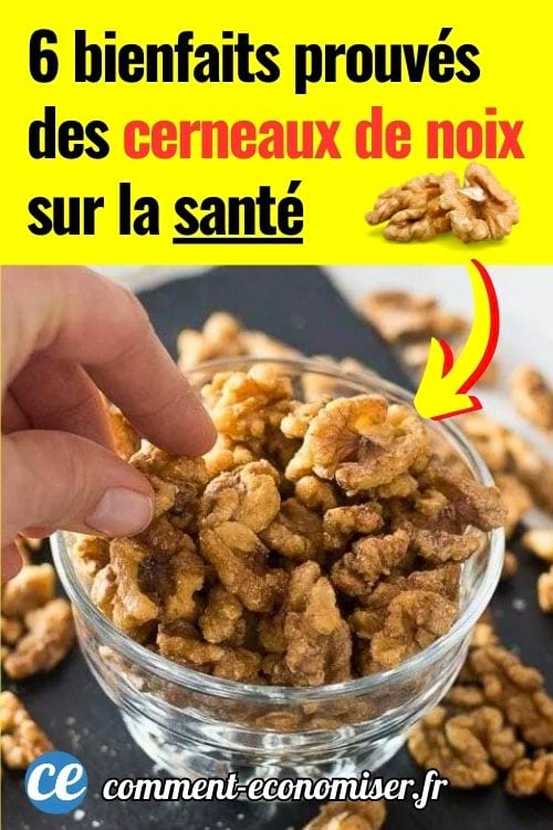 Une main qui prend un cerneau de noix dans une coupelle remplie de cerneaux de noix