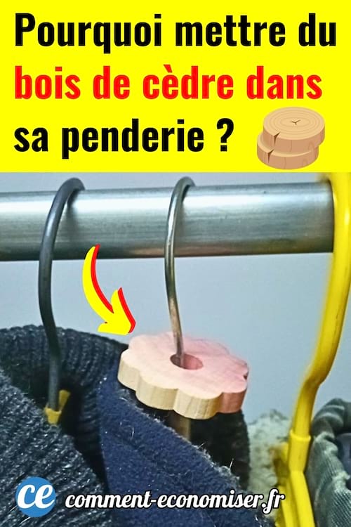 Du bois de cèdre dans la penderie sur des vêtements pour les protéger