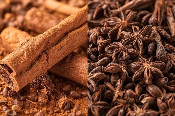 Gros plan sur des bâtons de cannelle et des étoiles d’anis posés sur une surface épicée.