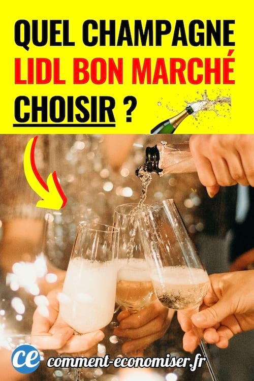 un champagne lidl de qualité pas cher