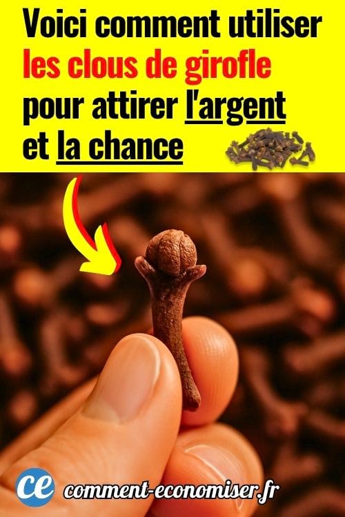 Un gros plan de clou de girofle tenu entre les doigts d'une main