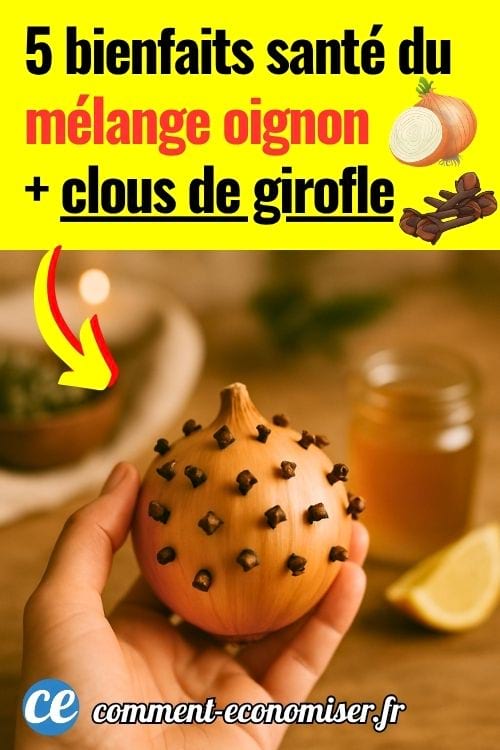 une main qui tient un oignon avec une quinzaine de clous de girofle dedans, avec une ambiance bien-être en arrière-plan