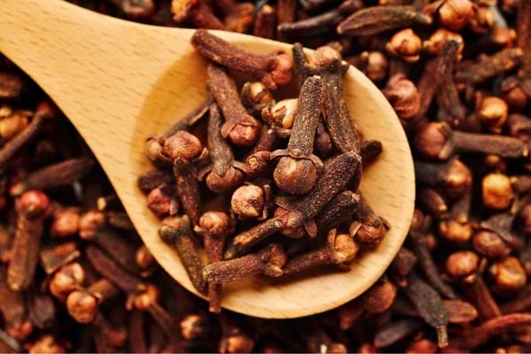 Cuillère en bois pleine de clous de girofle sur fond flou.