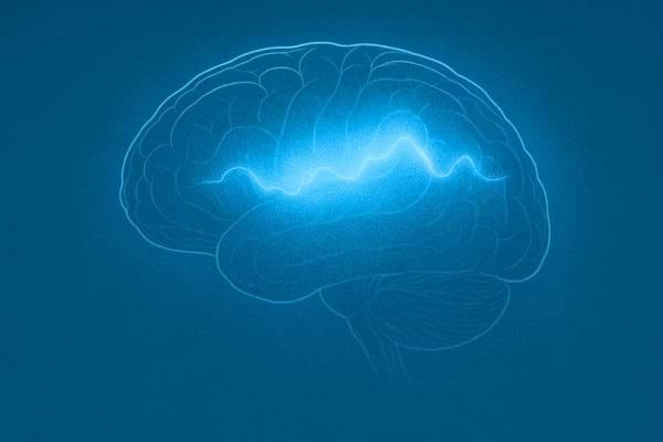 Cerveau humain présentant une faible activité électrique post mortem