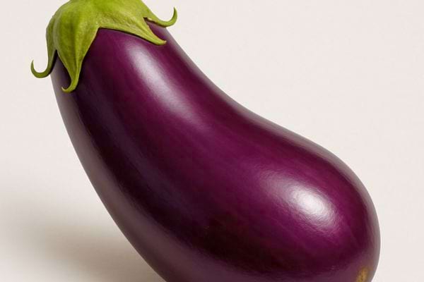 Une aubergine violette brillante est posee sur un fond clair.