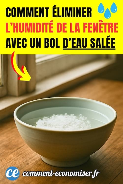Un bol d'eau salée près de la fenêtre pour enlever l'humidité