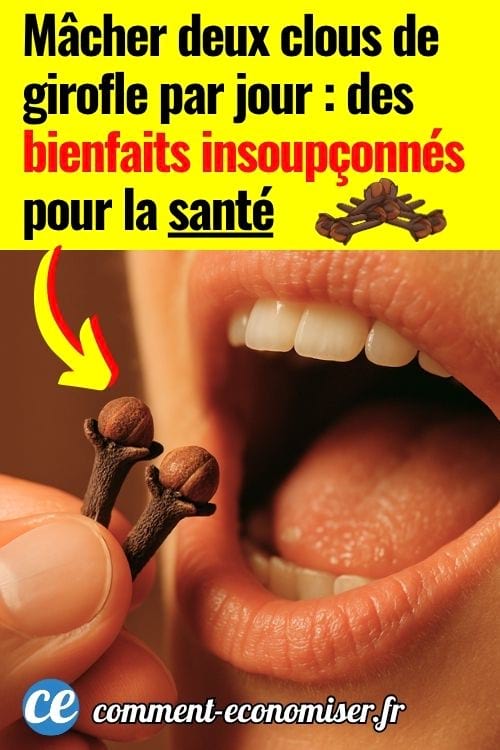 Une main qui tient deux clous de girofle devant sa bouche ouverte