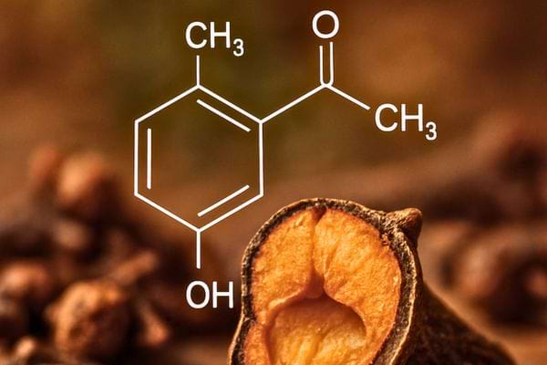 une formule chimique apparait devant un clou de girofle coupe.