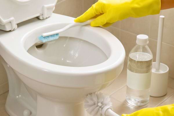 Une personne nettoie l’intérieur d’une cuvette de toilette avec une brosse et du vinaigre.