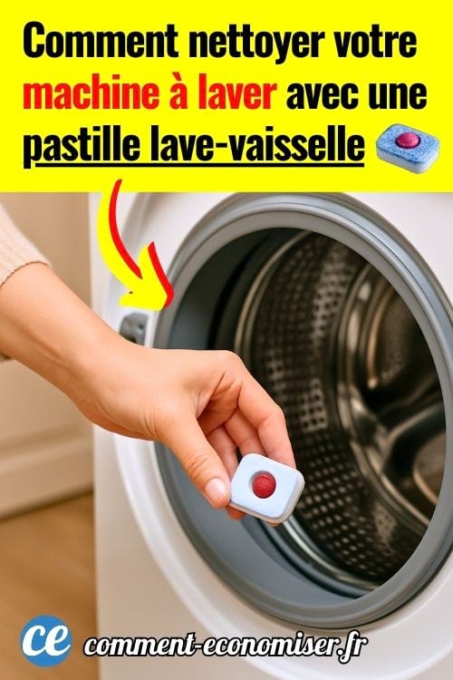 Une main de femme qui pose une pastille lave-vaisselle dans un tambour de lave-linge