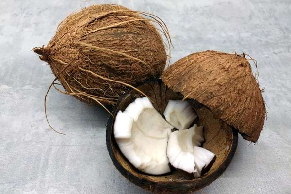 Deux noix de coco dont une ouverte montrant la chair blanche.