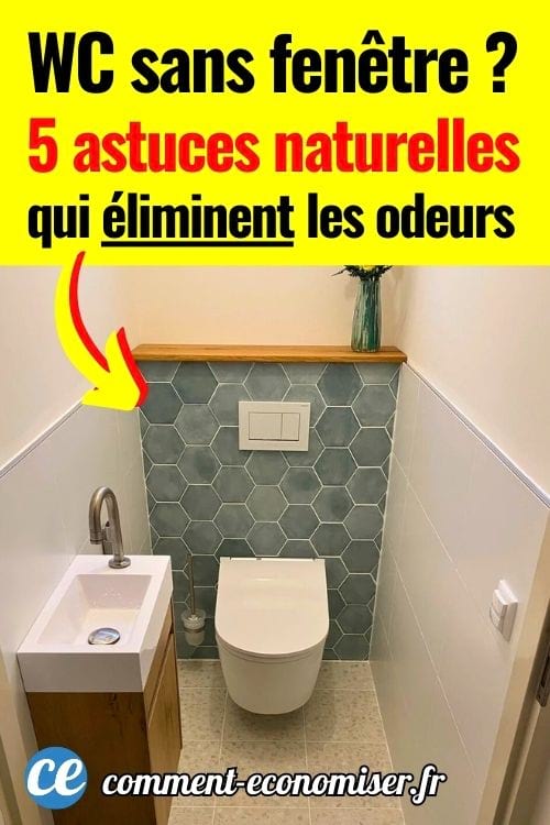 Des WC sans fenêtres avec des toilettes et un lavabo.