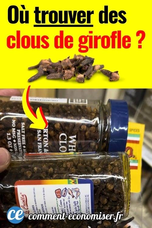 Une main qui tient deux flacons remplis de clous de girofle entiers