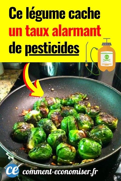 Cuisson de choux de Bruxelles dans une poêle à revêtement anti-adhésif