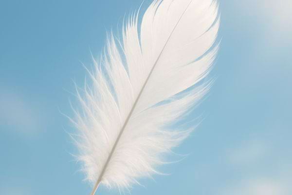 Une plume blanche flotte devant un ciel bleu lumineux et serein.