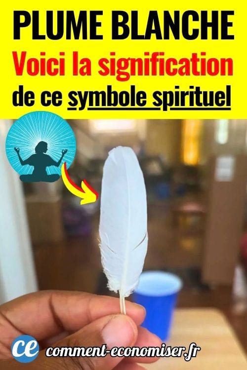 Une main qui tient une plume blanche entre ses doigts, avec un intérieur d'appartement en arrière-plan