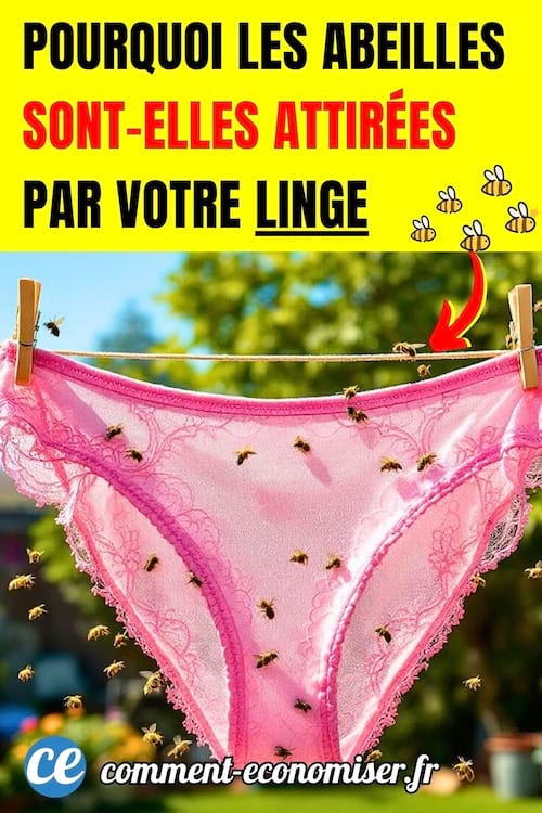 Des abeilles qui sont sur une culotte rose accrochée dehors