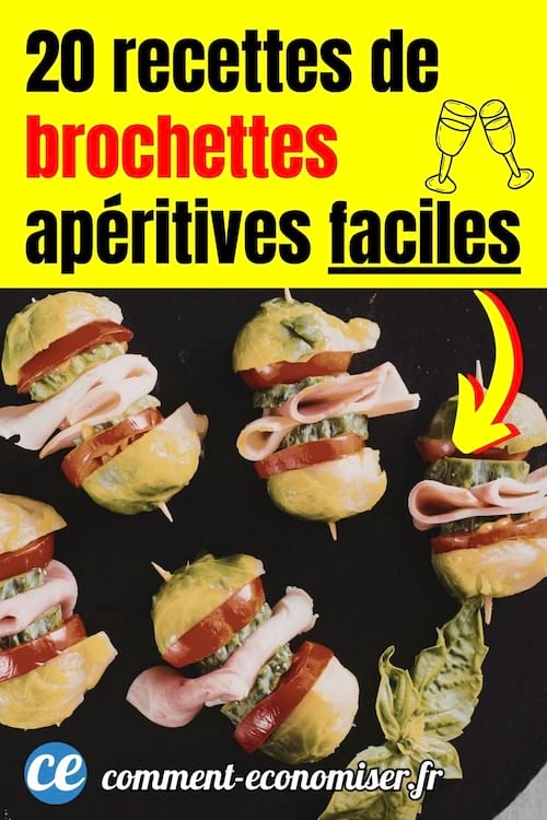20 recettes apéritives chaudes ou froides faciles à préparer