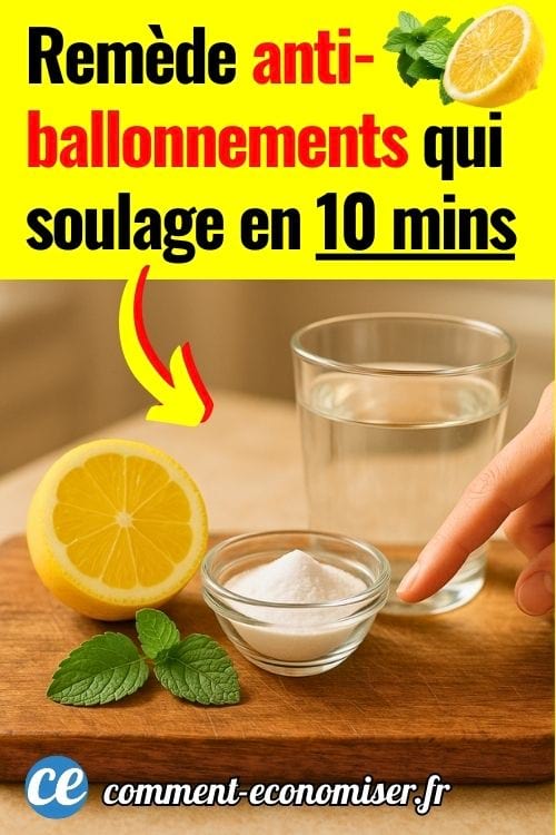 Une main qui montre un demi-citron, des feuilles de menthe, un petit bol de bicarbonate et un verre d'eau