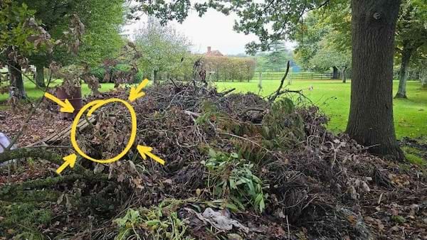 Solution au défi visuel qui consiste à trouver un épagneul caché dans un tas de feuilles et de brindilles