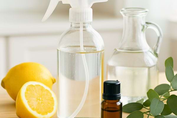  Un spray naturel au citron est posé avec des ingrédients frais sur un plan de travail.