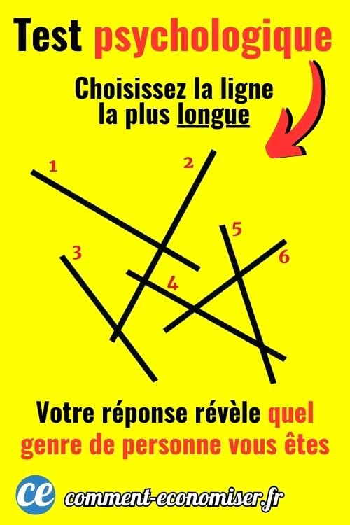 Test psychologique : choisir la ligne la plsu longue parmi 6 lignes noires numérotées de 1 à 6