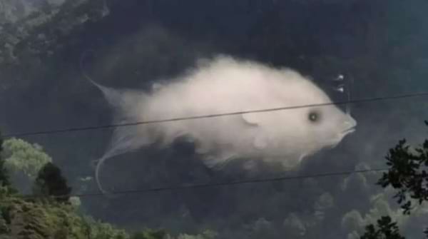 Que voyez vous en premier dans ce test de personnalit&eacute; ? Un Nuage ou un Poisson ?