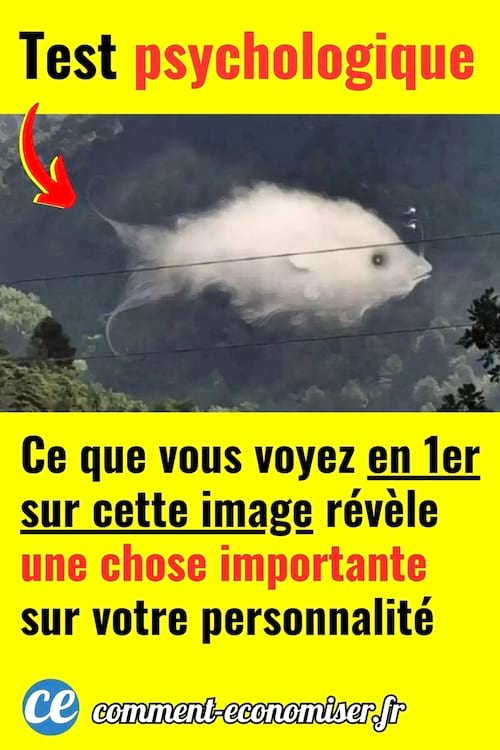 Que voyez vous en premier dans ce test de personnalit&eacute; ? Un Nuage ou un Poisson ?