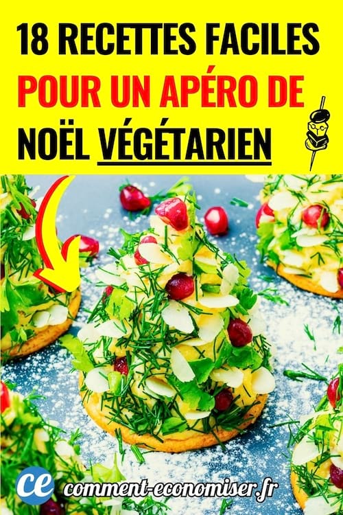 idées de recettes pour un apéritif végétarien de Noël