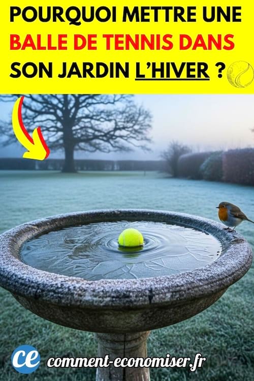 une balle de tennis dans une fontaine pour empêcher le gel et permettre aux oiseaux de boire