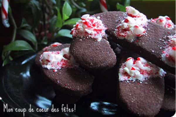 des biscuits de noël au chocolat en forme de canne