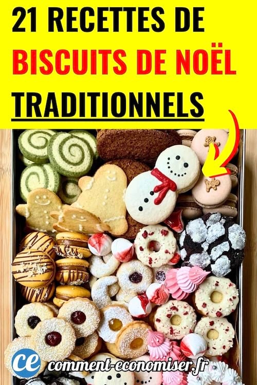 des biscuits de Noël traditionnels dans une boite