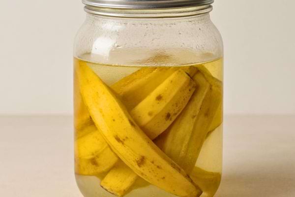 Bocal en verre rempli de peaux de banane immergees dans un liquide pour preparation maison.