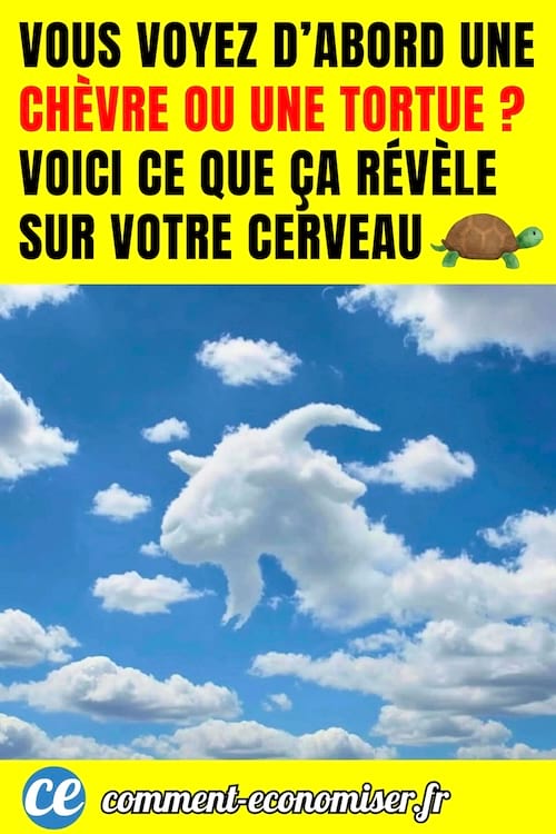 Une image d'une ch&egrave;vre ou d'une tortue sur l'image dans les nuages ? 