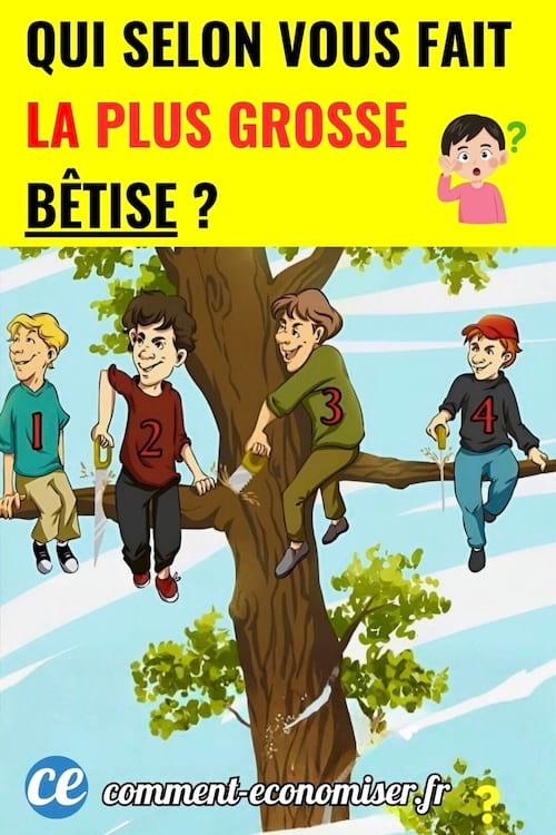 défi visuel logique : qui fait la plus grosse erreur ?