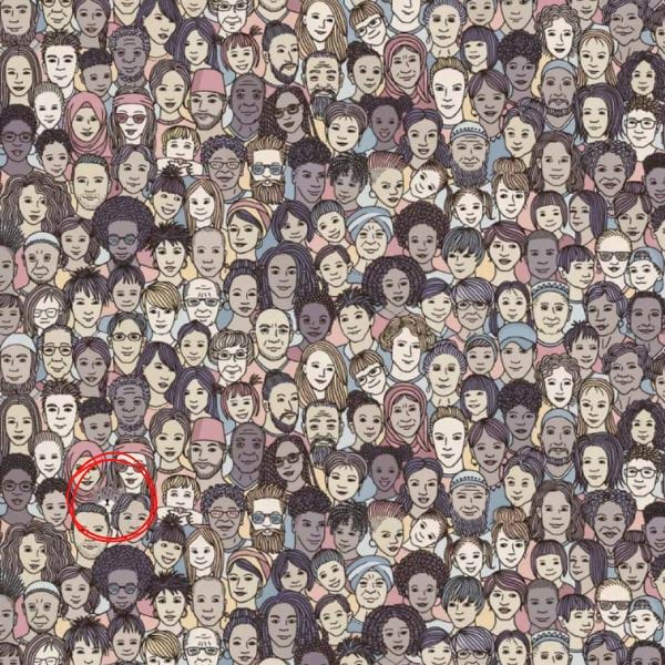 La solution du défi visuel du chat