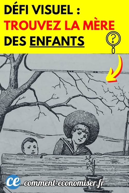 d&eacute;fi visuel pour trouver la m&egrave;re des enfants cach&eacute;e
