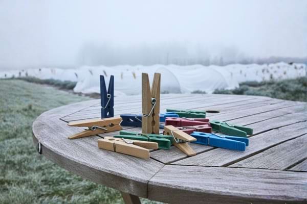 Photo réelle d’un assortiment de pinces à linge robustes